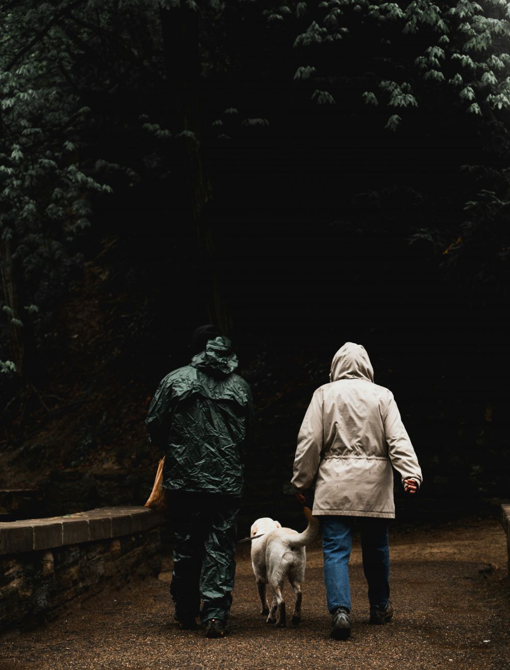 Blæst  mer enn bare vær og vind